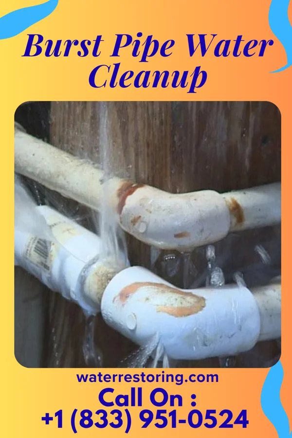 Burst Pipe Water Cleanup in Spring Drive Mobile Home Park, PA