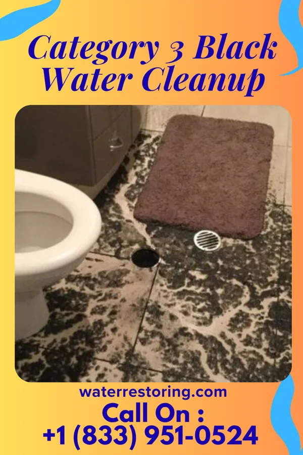 Category 3 Black Water Cleanup in Spring Drive Mobile Home Park, PA