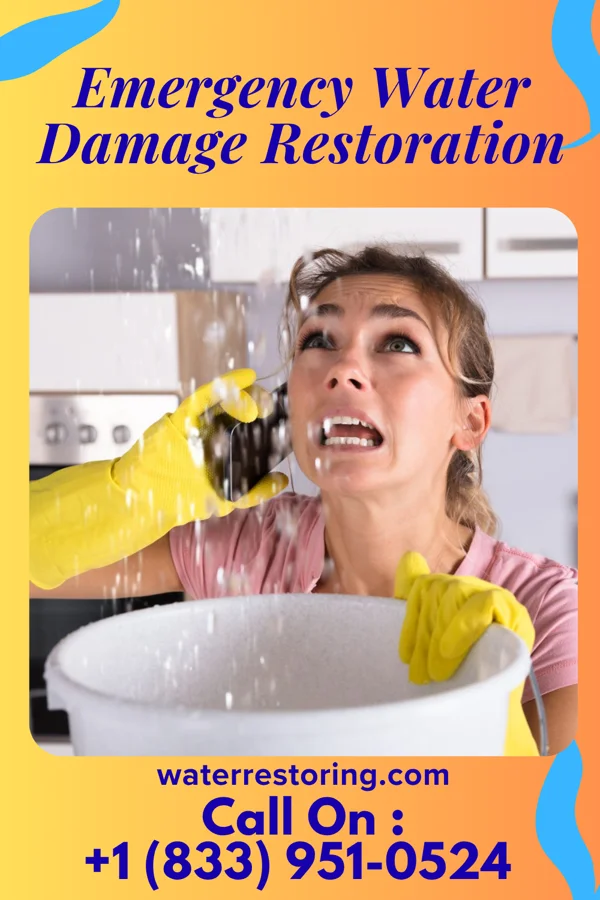 Emergency Water Damage Restoration in Spring Drive Mobile Home Park, PA
