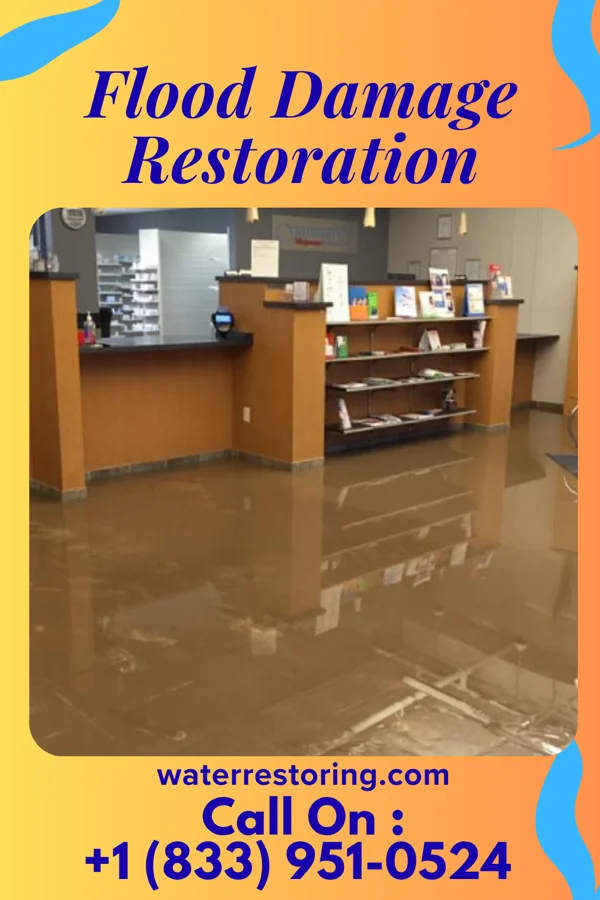 Flood Damage Restoration in Spring Drive Mobile Home Park, PA