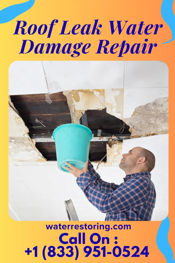Roof Leak Water Damage Repair in Spring Drive Mobile Home Park, PA