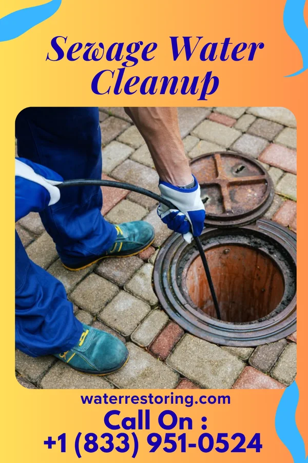 Sewage Water Cleanup in Spring Drive Mobile Home Park, PA